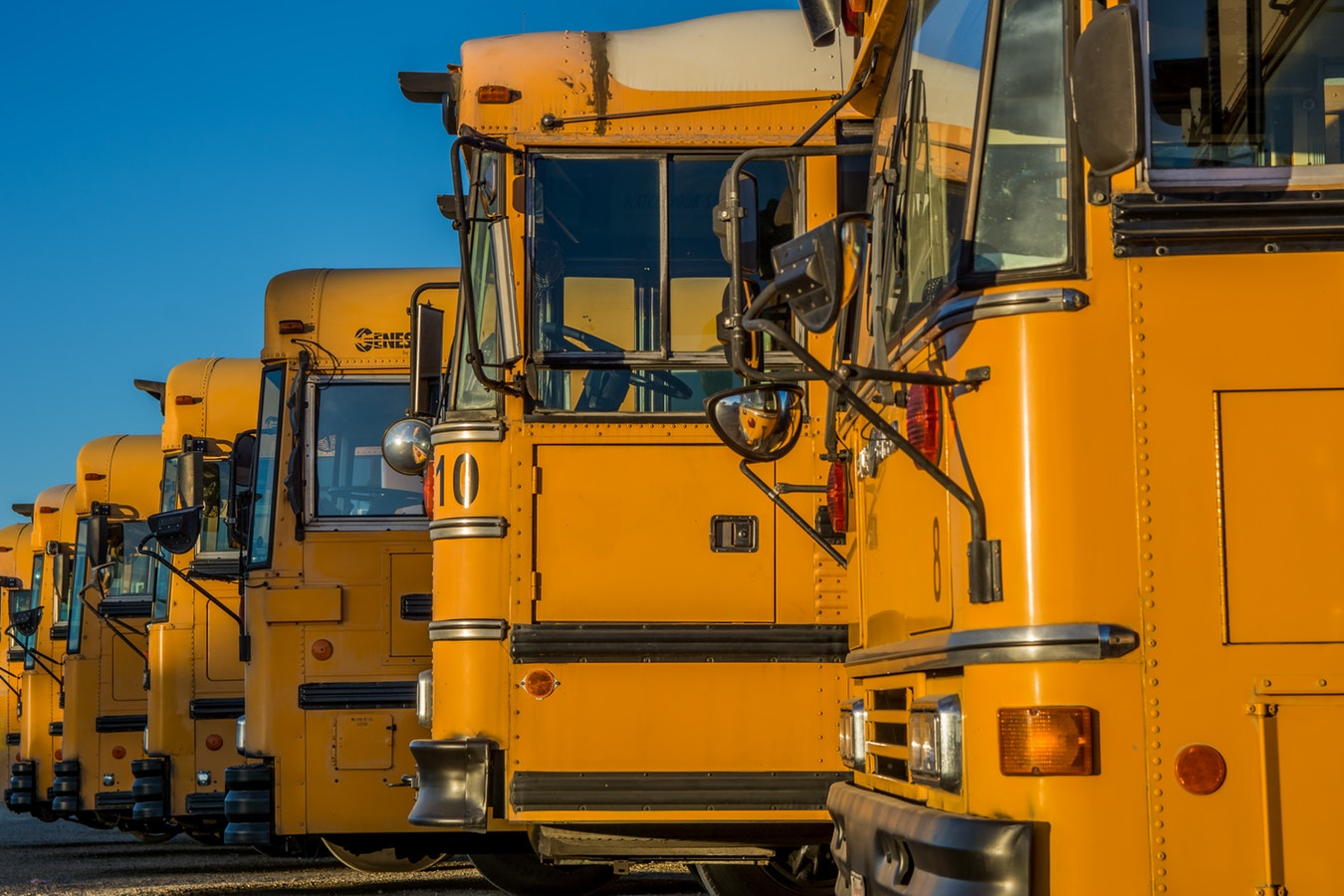 School buses lined up